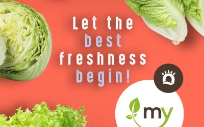 Product Catalog: Fresh Lettuces